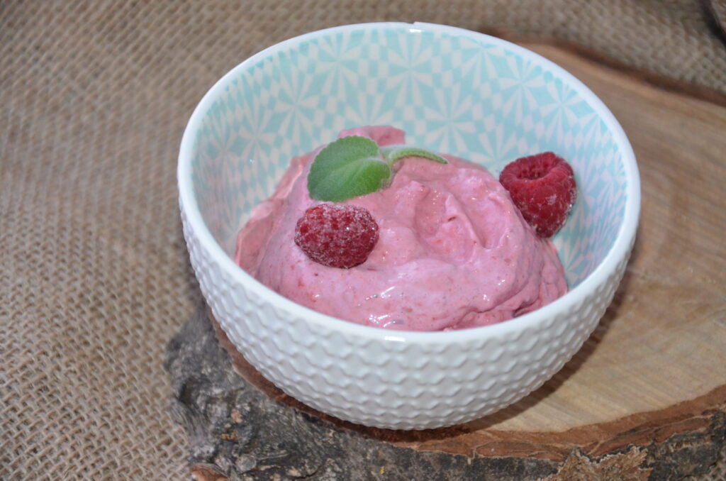 domowe szybkie lody, jak zrobić lody w domu